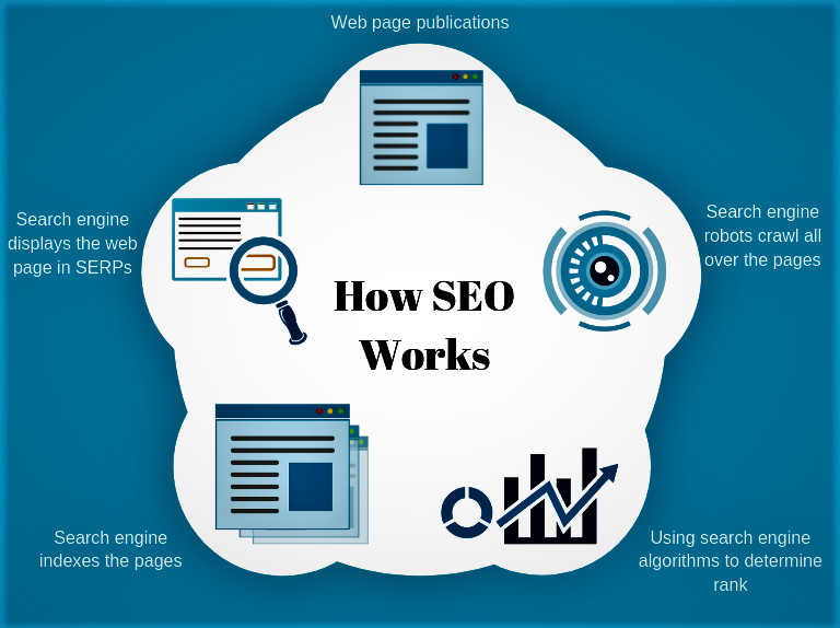 how does seo work infographics by vertex web surf canada